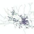 keene_hydrants.jpg