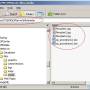 faq_nffs_2008_july_26_a.jpg